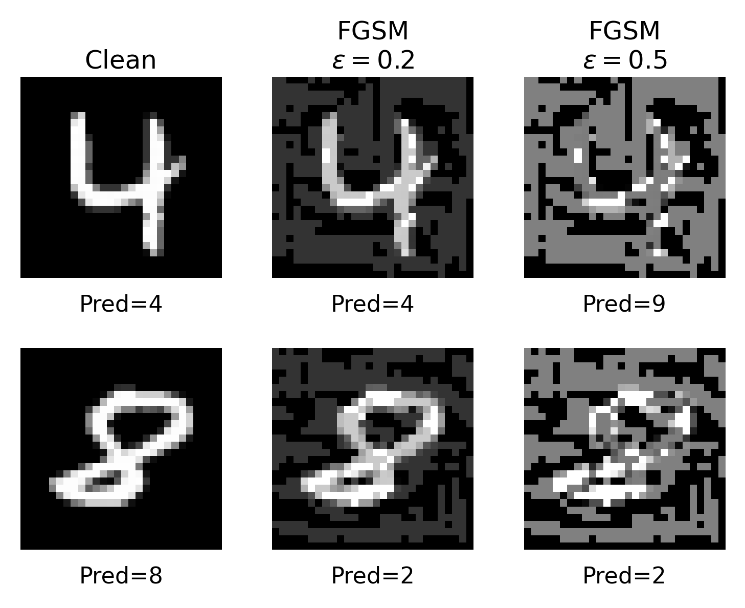 fgsm
